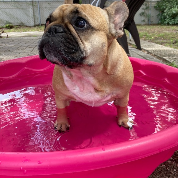 Meet your Posher, Betsy - Picture 8 of 11